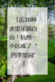 近20种水果采摘自由！杭州一小区成了“四季果园”