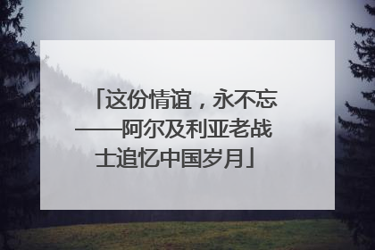 这份情谊，永不忘——阿尔及利亚老战士追忆中国岁月
