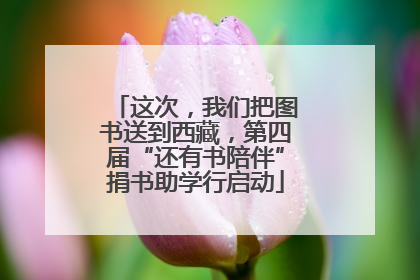 这次，我们把图书送到西藏，第四届“还有书陪伴”捐书助学行启动