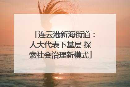 连云港新海街道：人大代表下基层 探索社会治理新模式
