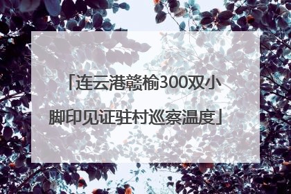 连云港赣榆300双小脚印见证驻村巡察温度