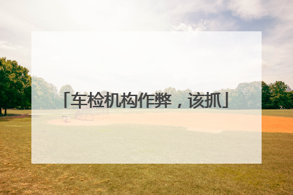 车检机构作弊，该抓