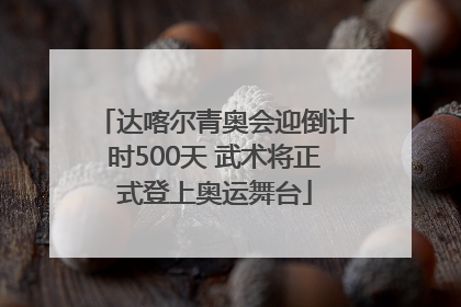 达喀尔青奥会迎倒计时500天 武术将正式登上奥运舞台