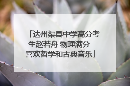 达州渠县中学高分考生赵若舟 物理满分 喜欢哲学和古典音乐