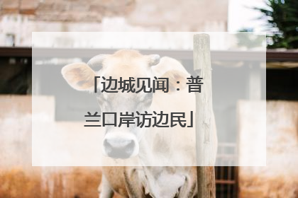 边城见闻：普兰口岸访边民