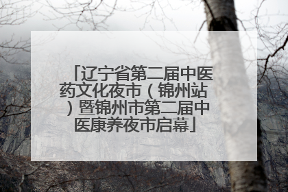 辽宁省第二届中医药文化夜市（锦州站）暨锦州市第二届中医康养夜市启幕