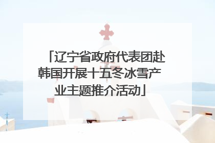 辽宁省政府代表团赴韩国开展十五冬冰雪产业主题推介活动
