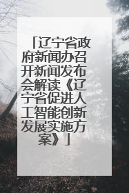 辽宁省政府新闻办召开新闻发布会解读《辽宁省促进人工智能创新发展实施方案》