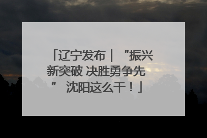 辽宁发布｜“振兴新突破 决胜勇争先” 沈阳这么干！