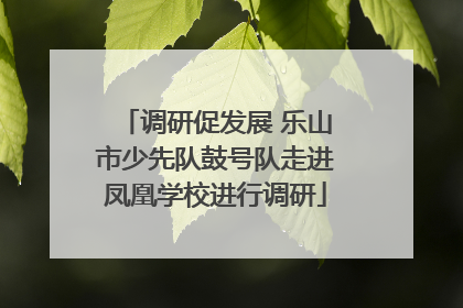 调研促发展 乐山市少先队鼓号队走进凤凰学校进行调研