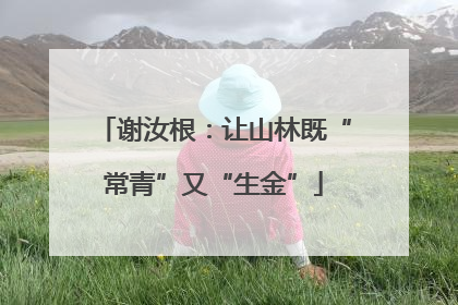 谢汝根：让山林既“常青”又“生金”