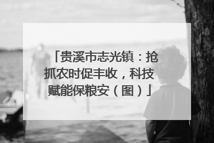 贵溪市志光镇：抢抓农时促丰收，科技赋能保粮安（图）