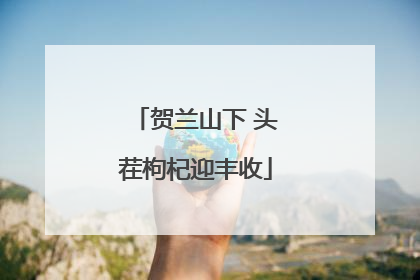 贺兰山下 头茬枸杞迎丰收