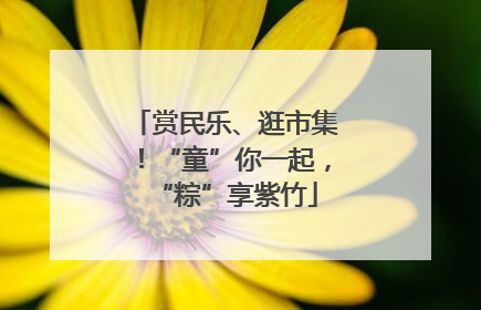 赏民乐、逛市集！“童”你一起，“粽”享紫竹