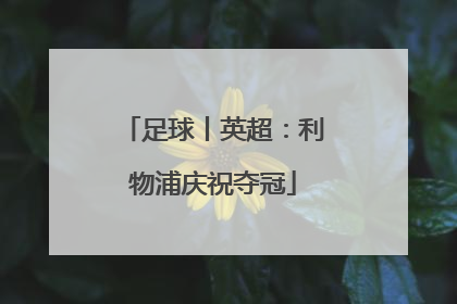 足球丨英超：利物浦庆祝夺冠