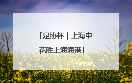 足协杯｜上海申花胜上海海港