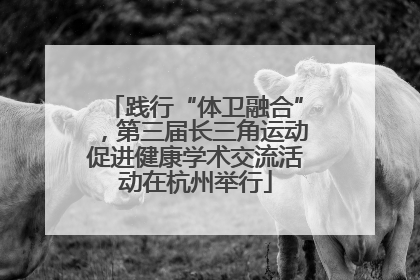 践行“体卫融合”，第三届长三角运动促进健康学术交流活动在杭州举行
