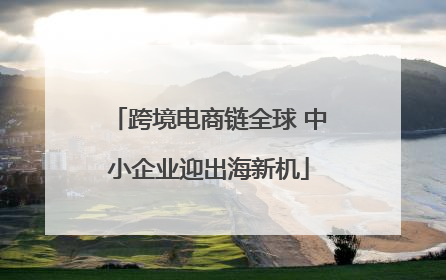 跨境电商链全球 中小企业迎出海新机
