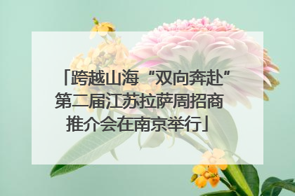 跨越山海“双向奔赴” 第二届江苏拉萨周招商推介会在南京举行