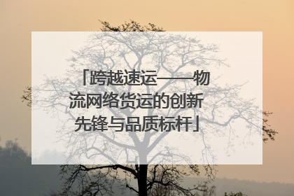 跨越速运——物流网络货运的创新先锋与品质标杆