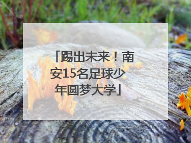 踢出未来！南安15名足球少年圆梦大学