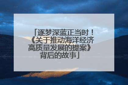 逐梦深蓝正当时！《关于推动海洋经济高质量发展的提案》背后的故事