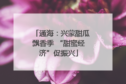通海：兴蒙甜瓜飘香季 “甜蜜经济”促振兴