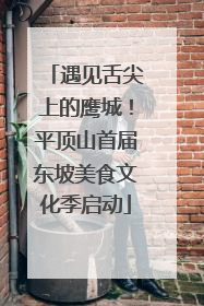遇见舌尖上的鹰城！平顶山首届东坡美食文化季启动
