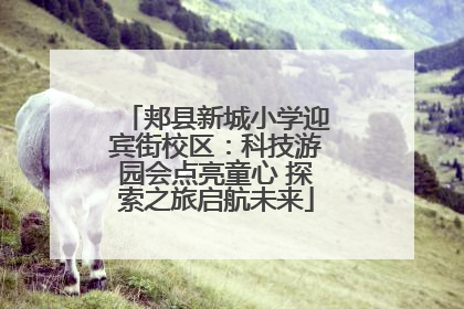 郏县新城小学迎宾街校区：科技游园会点亮童心 探索之旅启航未来