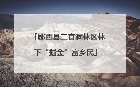 郧西县三官洞林区林下“掘金”富乡民