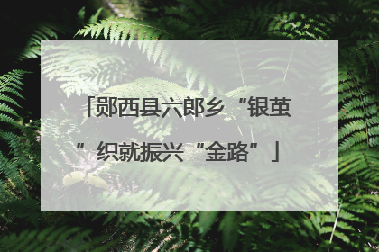 郧西县六郎乡“银茧”织就振兴“金路”