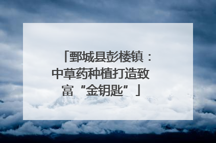 鄄城县彭楼镇：中草药种植打造致富“金钥匙”