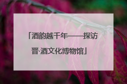 酒韵越千年——探访晋·酒文化博物馆