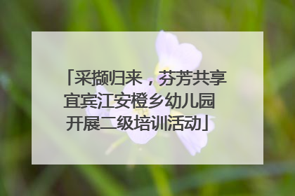 采撷归来，芬芳共享 宜宾江安橙乡幼儿园开展二级培训活动