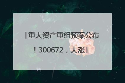 重大资产重组预案公布！300672，大涨