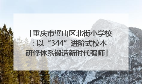 重庆市璧山区北街小学校：以“344”进阶式校本研修体系锻造新时代强师