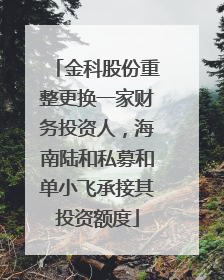 金科股份重整更换一家财务投资人，海南陆和私募和单小飞承接其投资额度