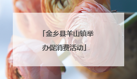 金乡县羊山镇举办促消费活动
