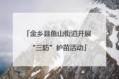 金乡县鱼山街道开展“三防”护苗活动