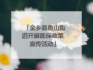 金乡县鱼山街道开展医保政策宣传活动
