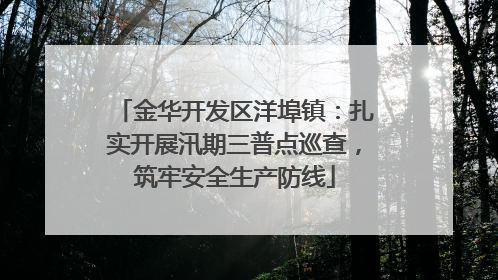 金华开发区洋埠镇：扎实开展汛期三普点巡查，筑牢安全生产防线