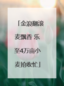 金浪翻滚麦飘香 乐至4万亩小麦抢收忙