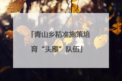 青山乡精准施策培育“头雁”队伍