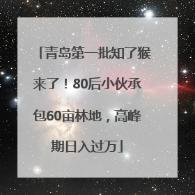 青岛第一批知了猴来了！80后小伙承包60亩林地，高峰期日入过万