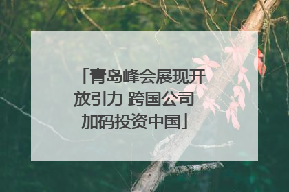 青岛峰会展现开放引力 跨国公司加码投资中国