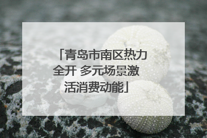 青岛市南区热力全开 多元场景激活消费动能