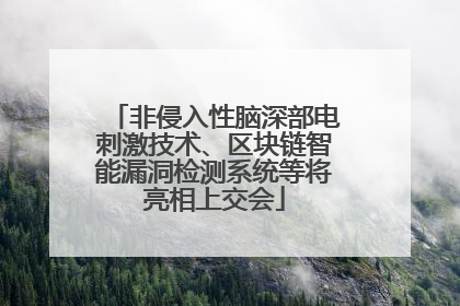 非侵入性脑深部电刺激技术、区块链智能漏洞检测系统等将亮相上交会