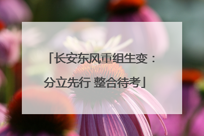 长安东风重组生变：分立先行 整合待考