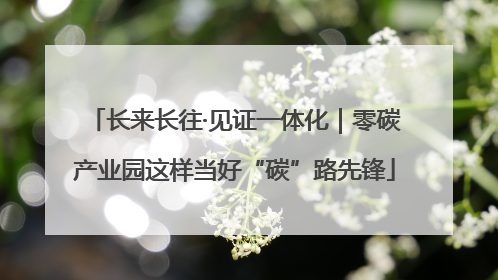 长来长往·见证一体化｜零碳产业园这样当好“碳”路先锋