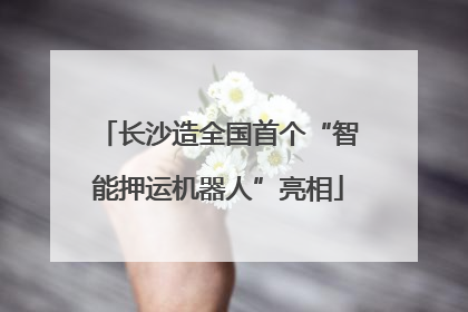 长沙造全国首个“智能押运机器人”亮相